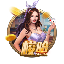 kiayun入口电脑免费版